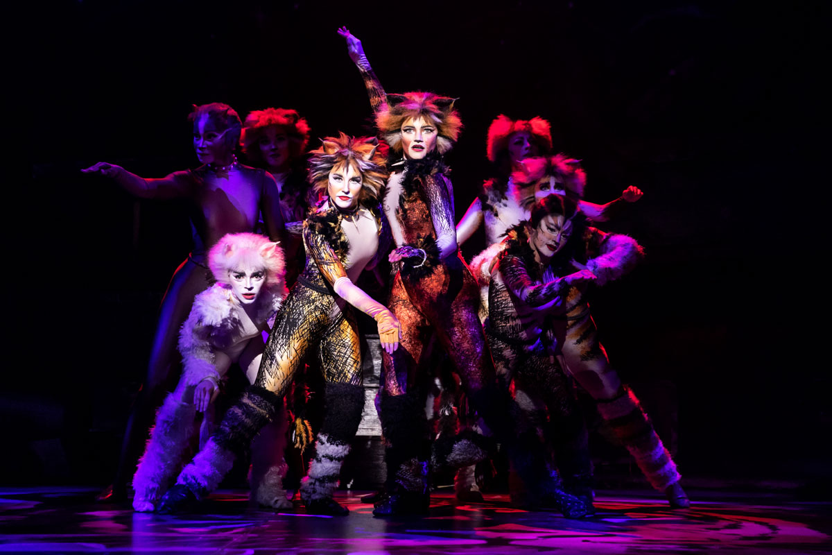 Cats On Screen Cats The Musical Cat Movie Cats Cast Jellicle Cats