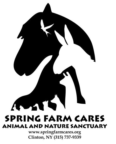 spring farm cares cats