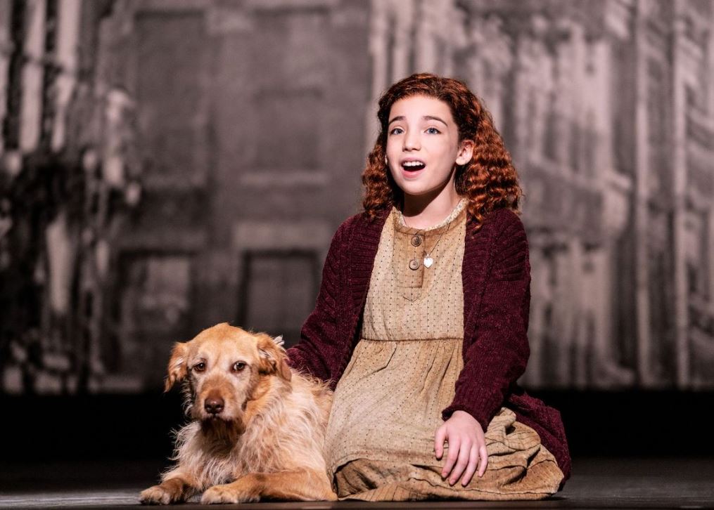 How Rescue Dogs Are Trained to Play Sandy in ANNIE - Broadway Theater  League of Utica